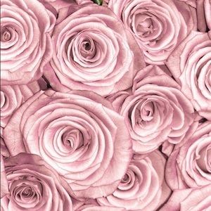 My shop will be close December 20th-January 27th